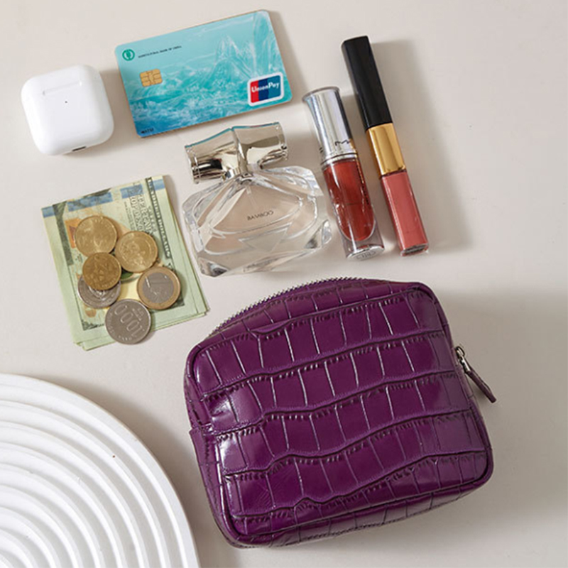 Portamonete di Lusso in Vera P - Luxury Ziploc Bags recensione e prezzo